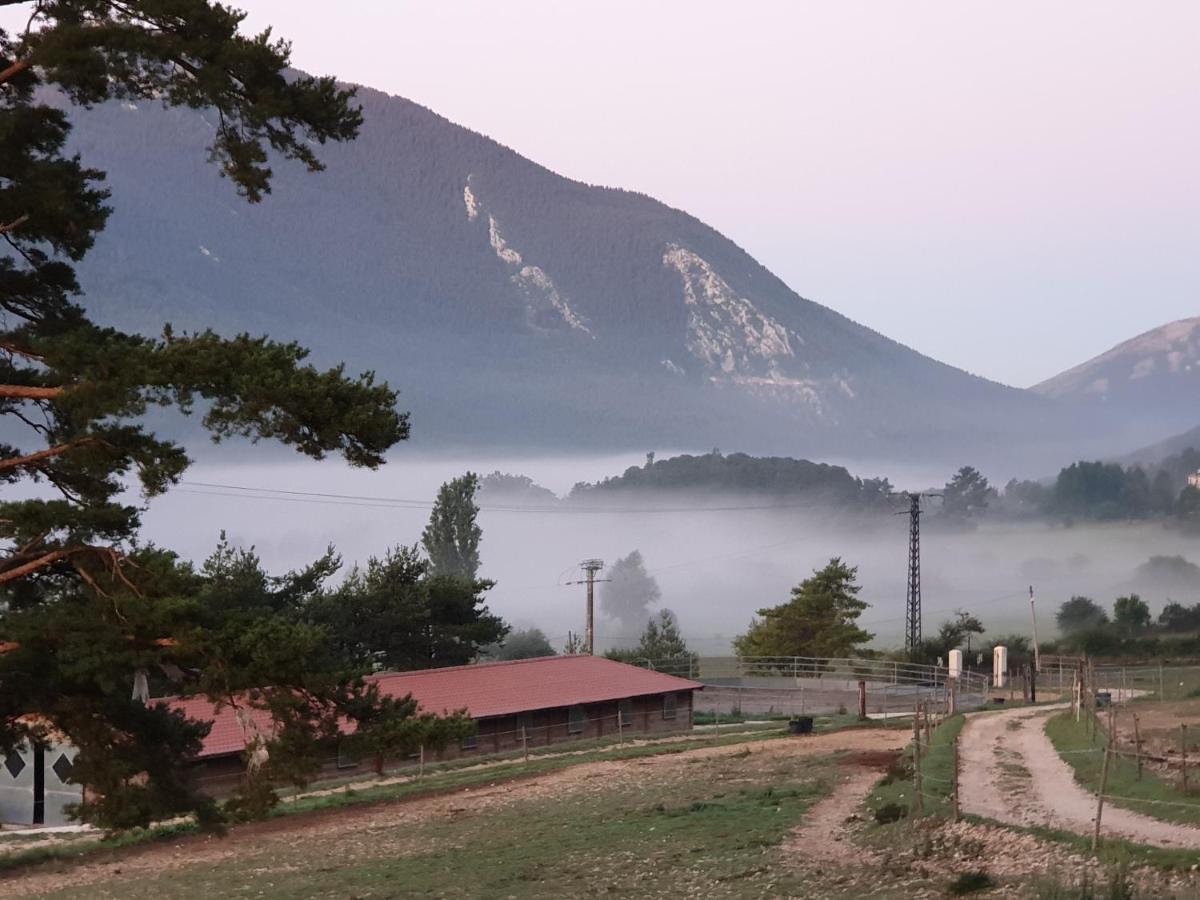 Haras De Séranon 외부 사진